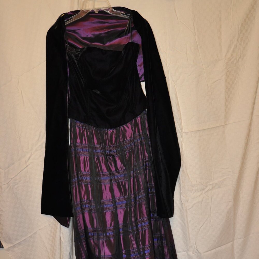 Scott McClintock Millennium 2000 Formal Dress, Size 12